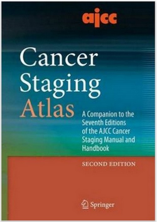 download ajcc cancer staging manual pdf